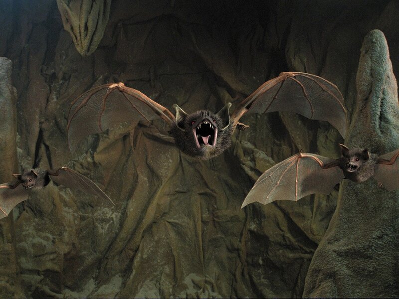 Bats in a Cave — Gray