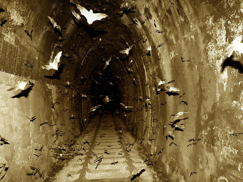 Bats in a Tunnel — Sepia