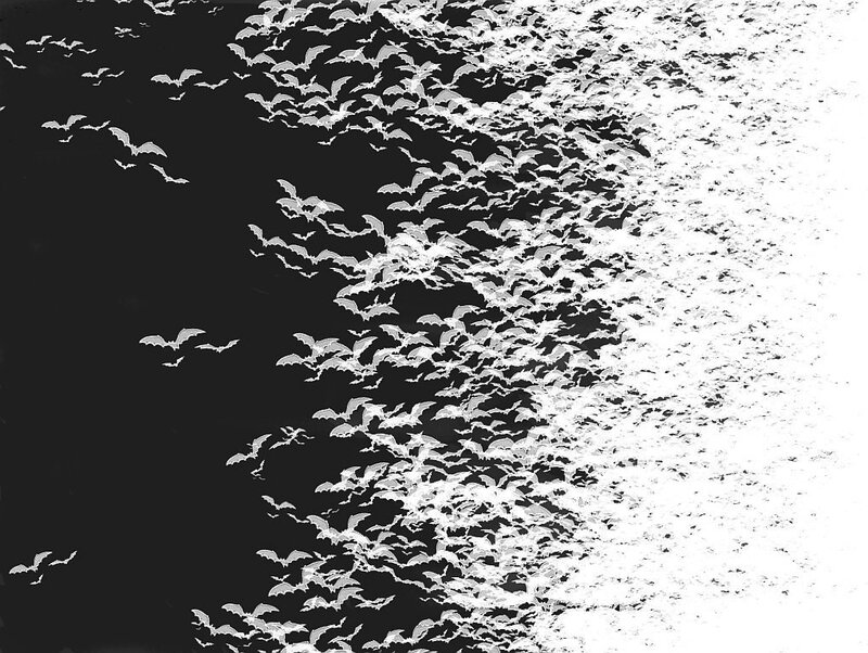 Bats in Flight — Black