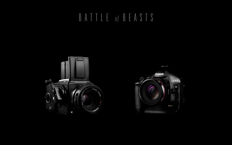 Battle of Beasts camera comparison