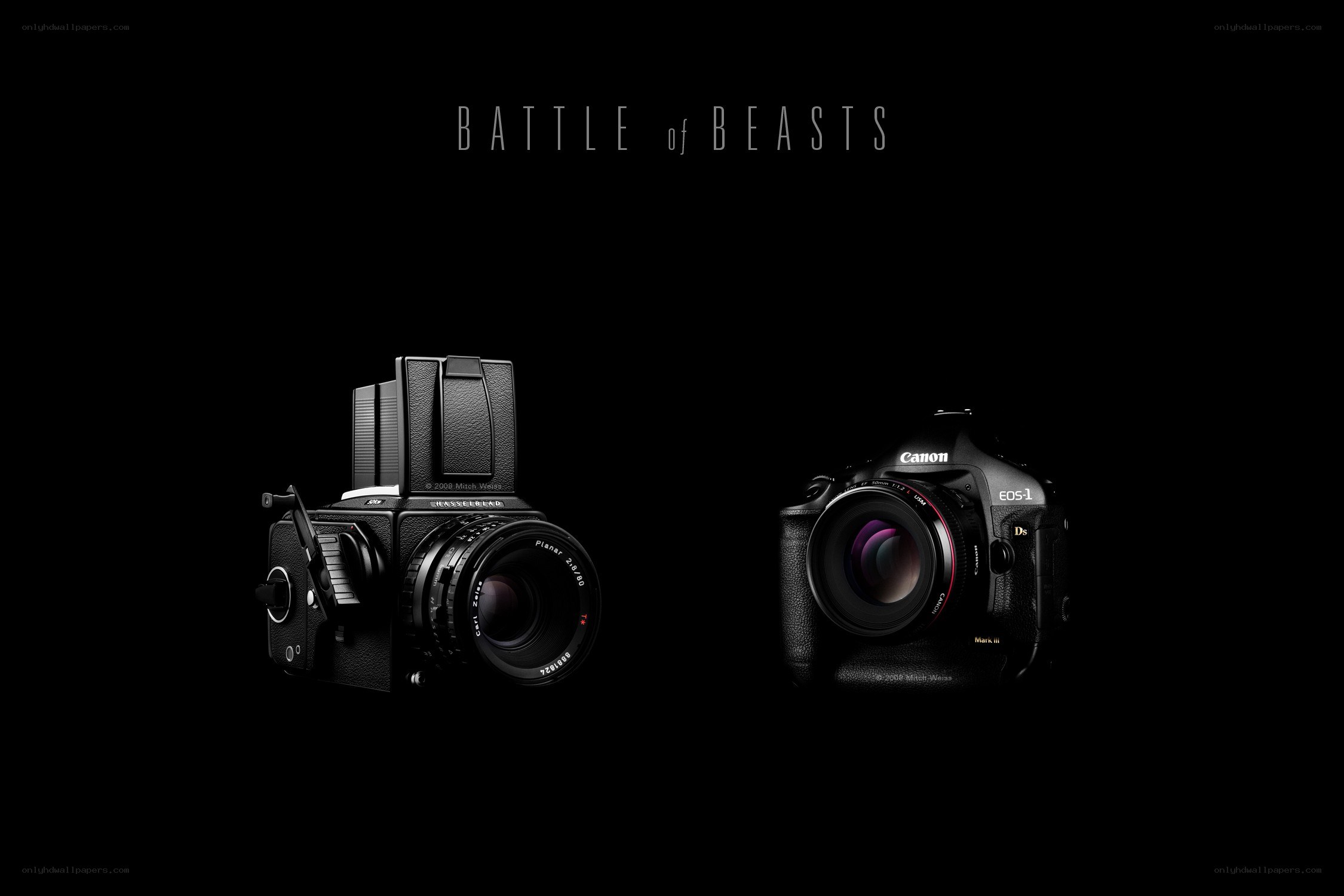 Battle of Beasts: Camera Showdown