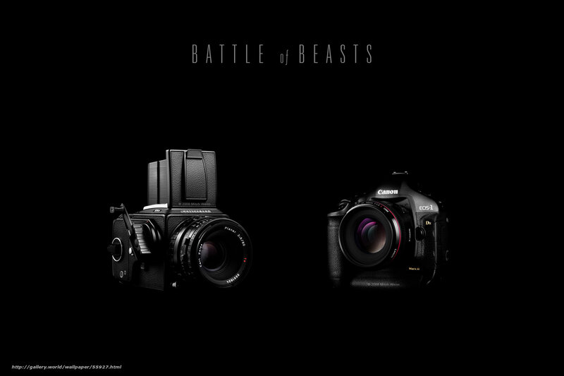 Battle of Beasts