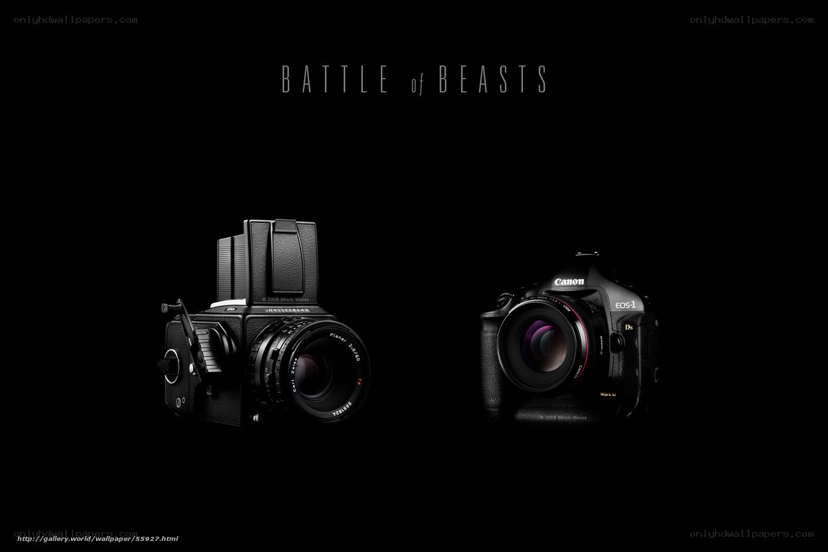 Battle of Beasts