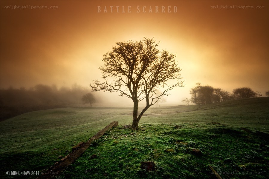 Battle Scarred Landscape