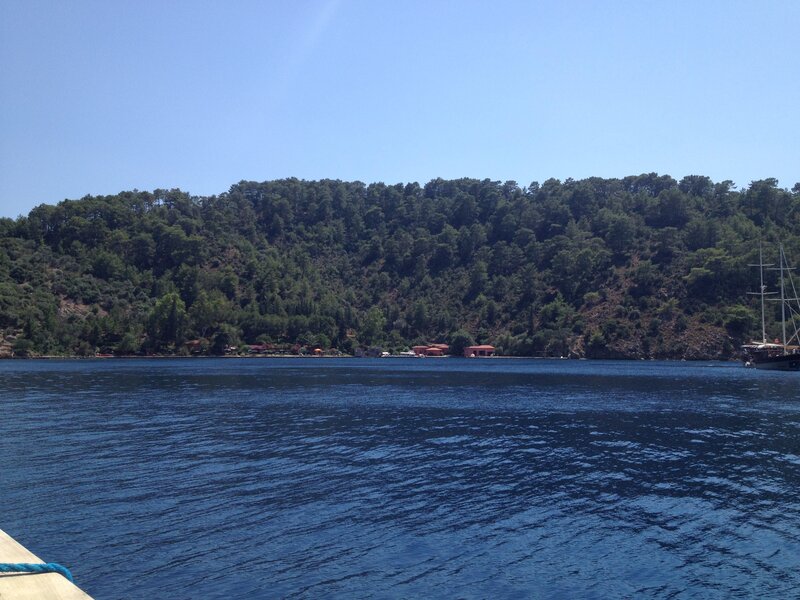 Bay with forested hill