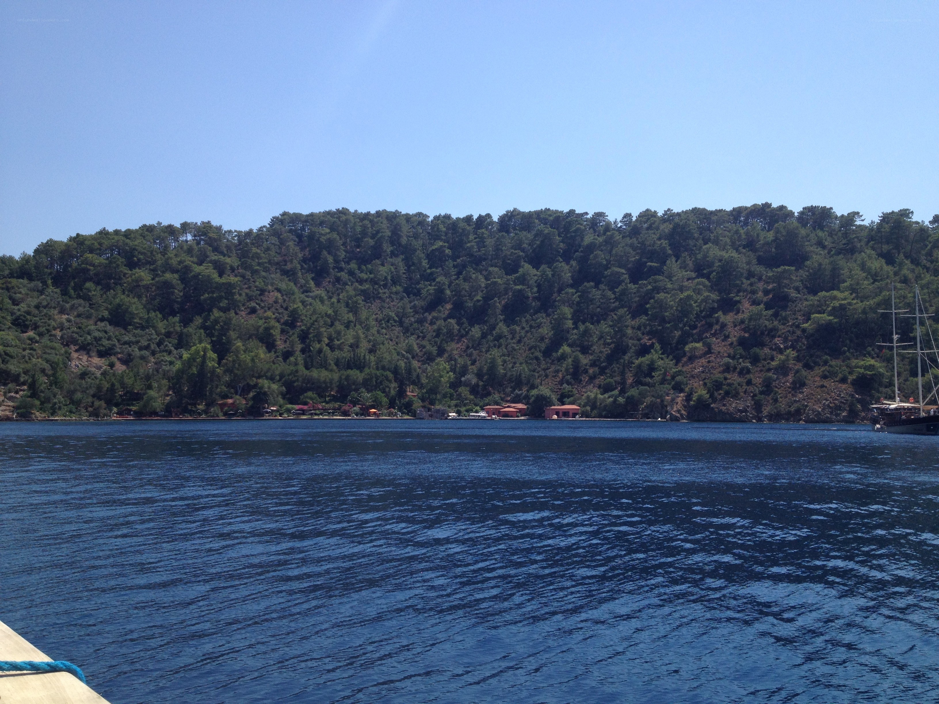 Bay with forested hill
