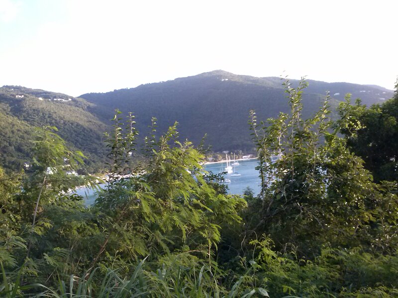 Bay with Sailboats — Green