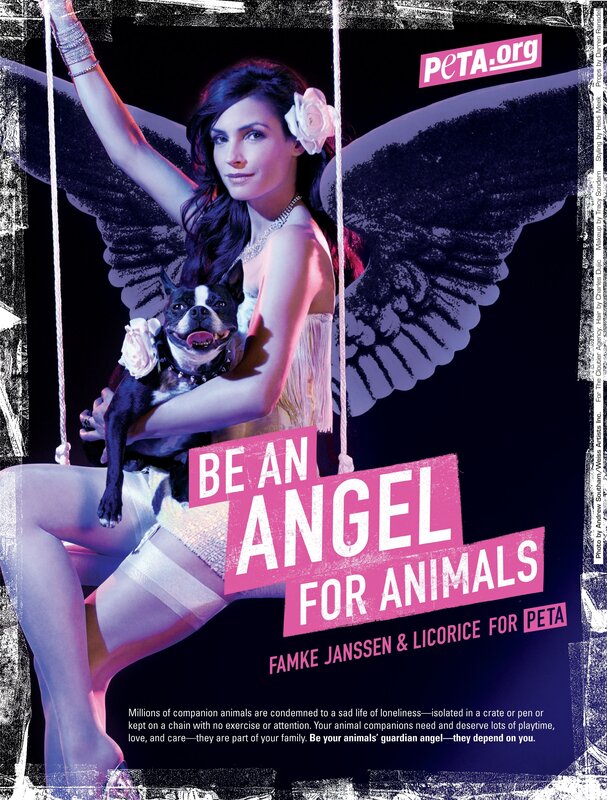 Be an Angel for Animals