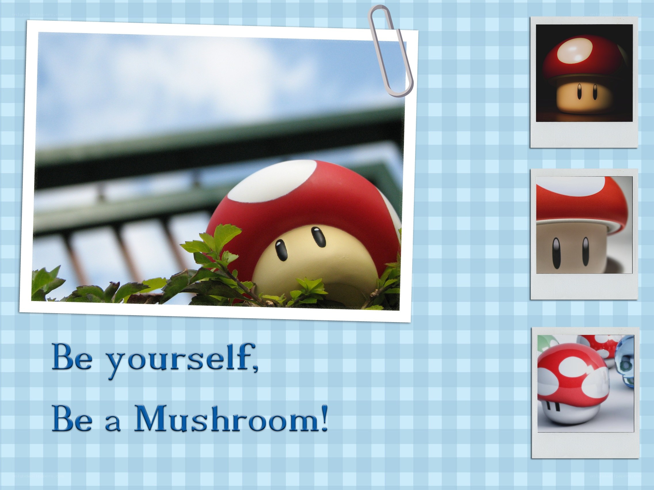 Be Yourself, Be a Mushroom
