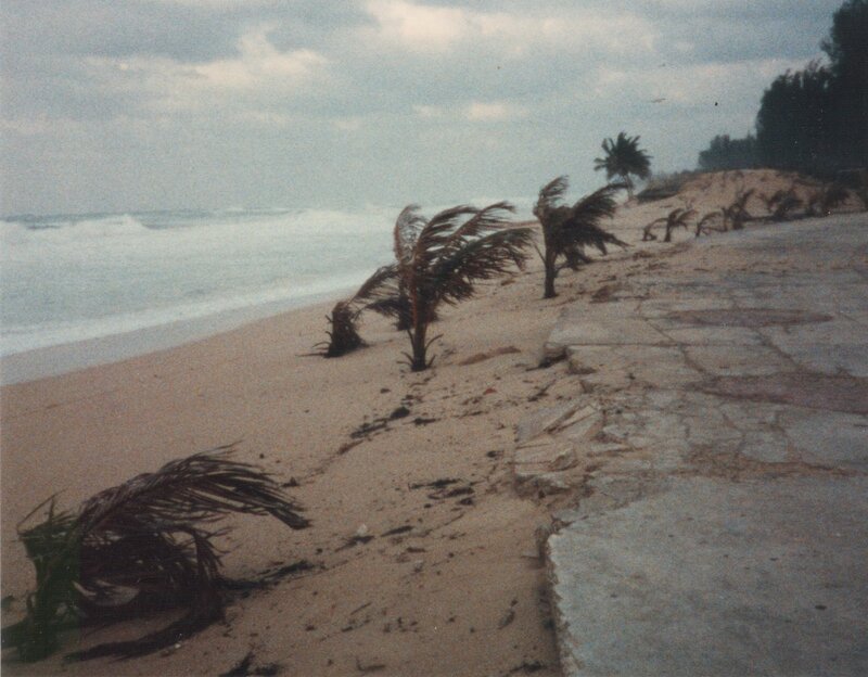 Beach after storm damage