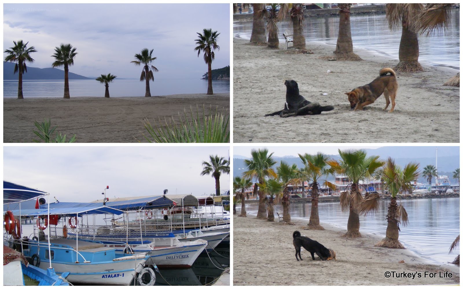Beach and boats in Turkey