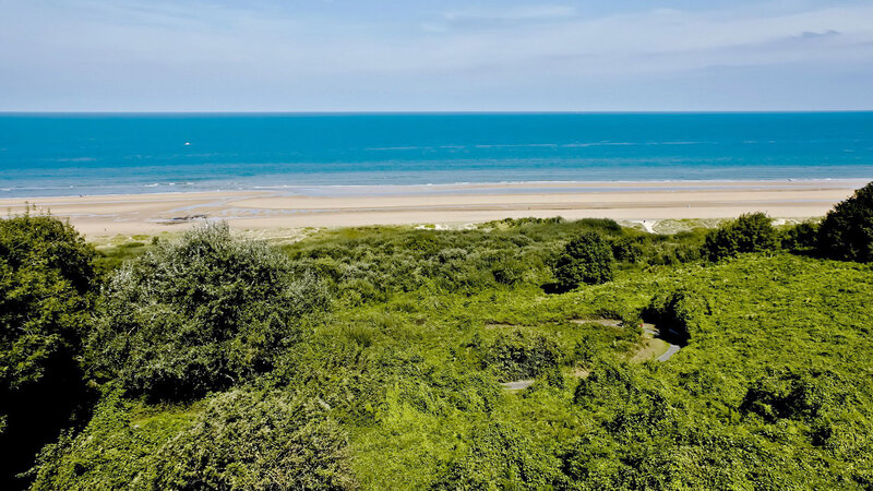 Beach and Dunes