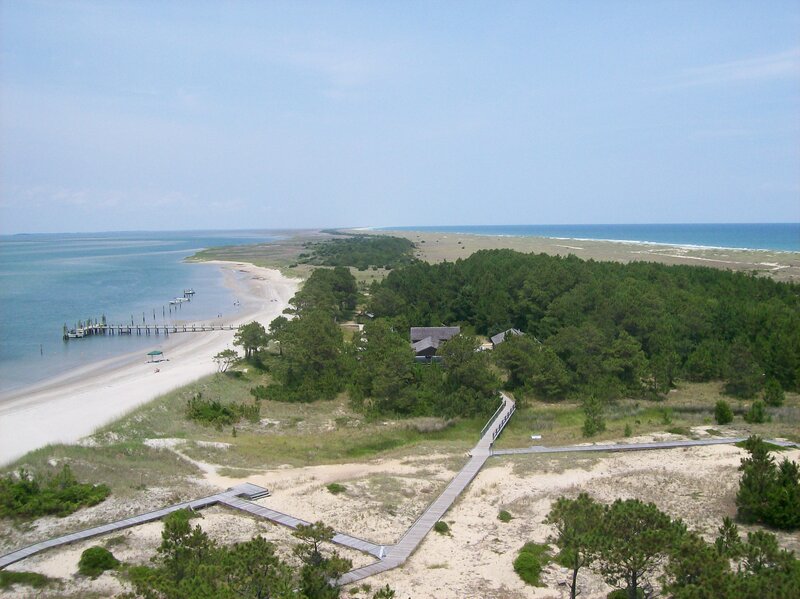 Beach and Forest Landscape
