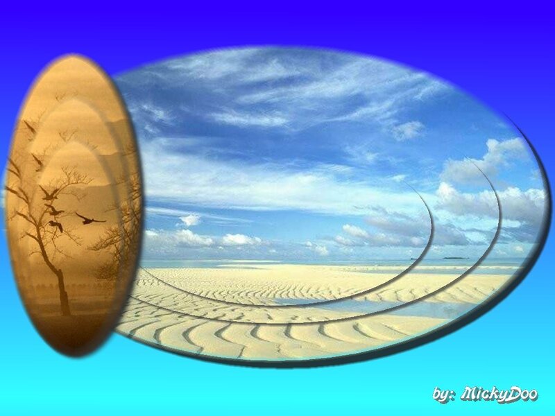 Beach and tree landscape