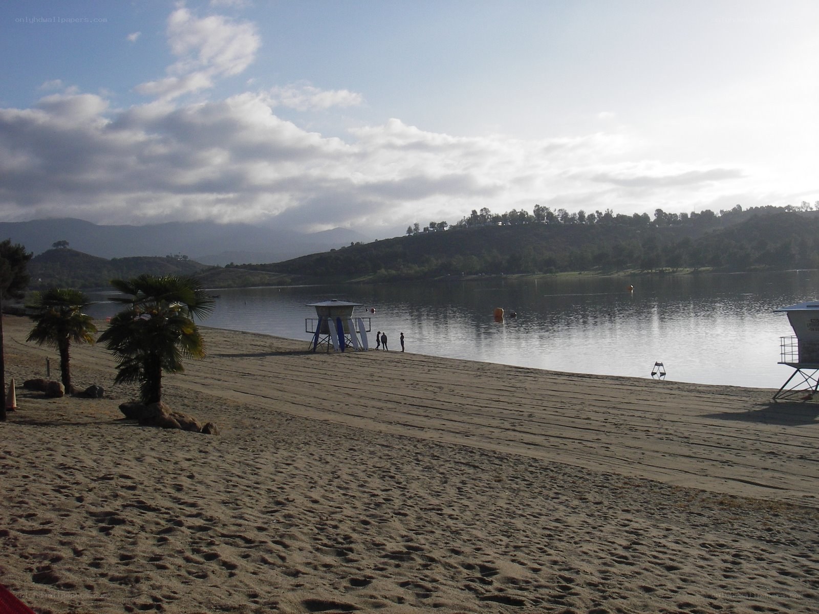 Beach at a lake with palm trees