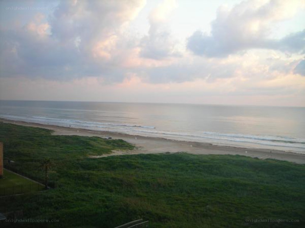 beach at dawn with green dunes
