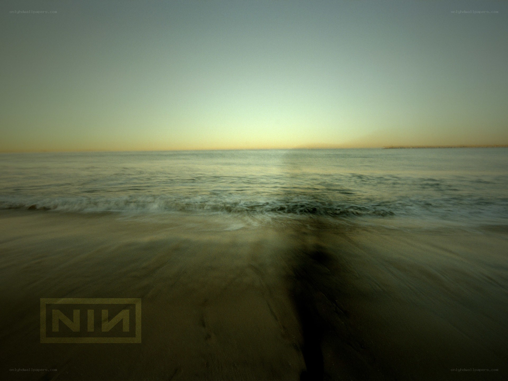 beach at dawn with nin logo