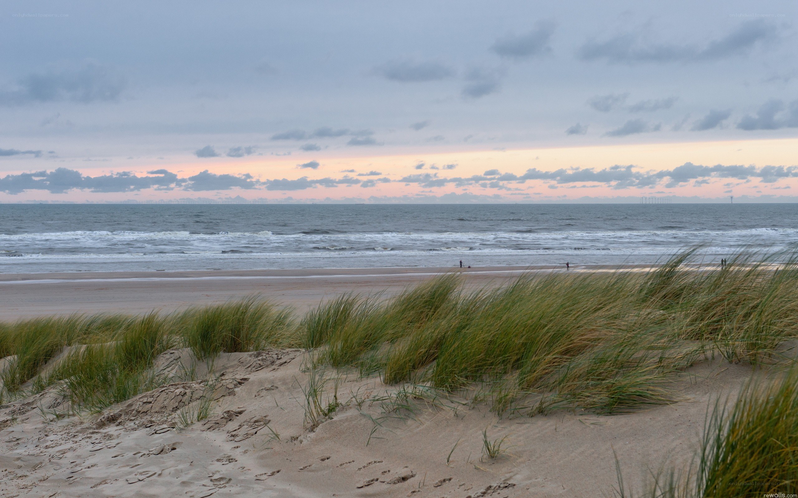 beach at dusk with dunes