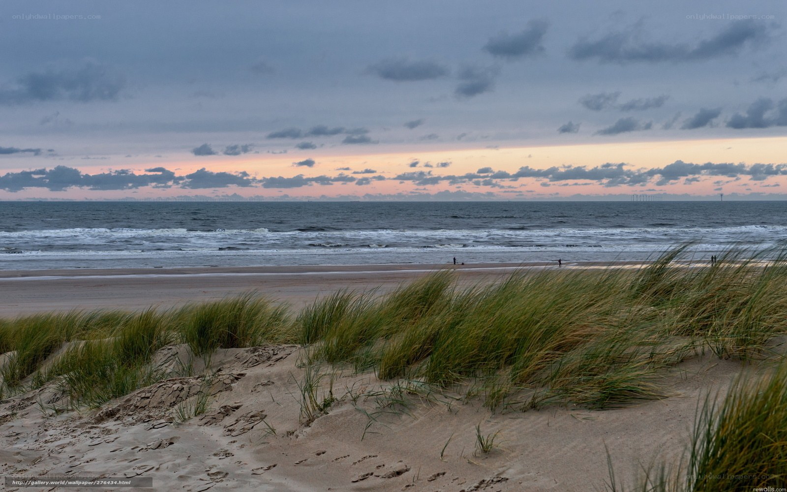 Beach at dusk with dunes