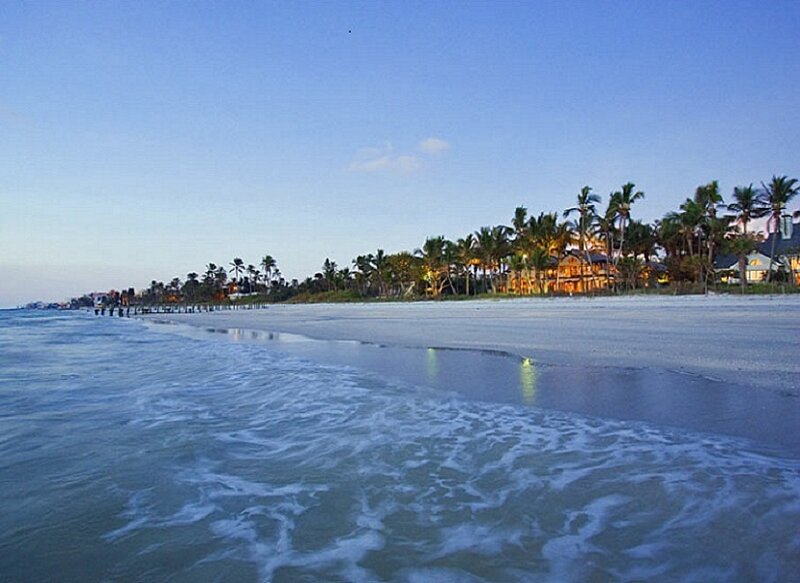 beach at dusk with palm trees