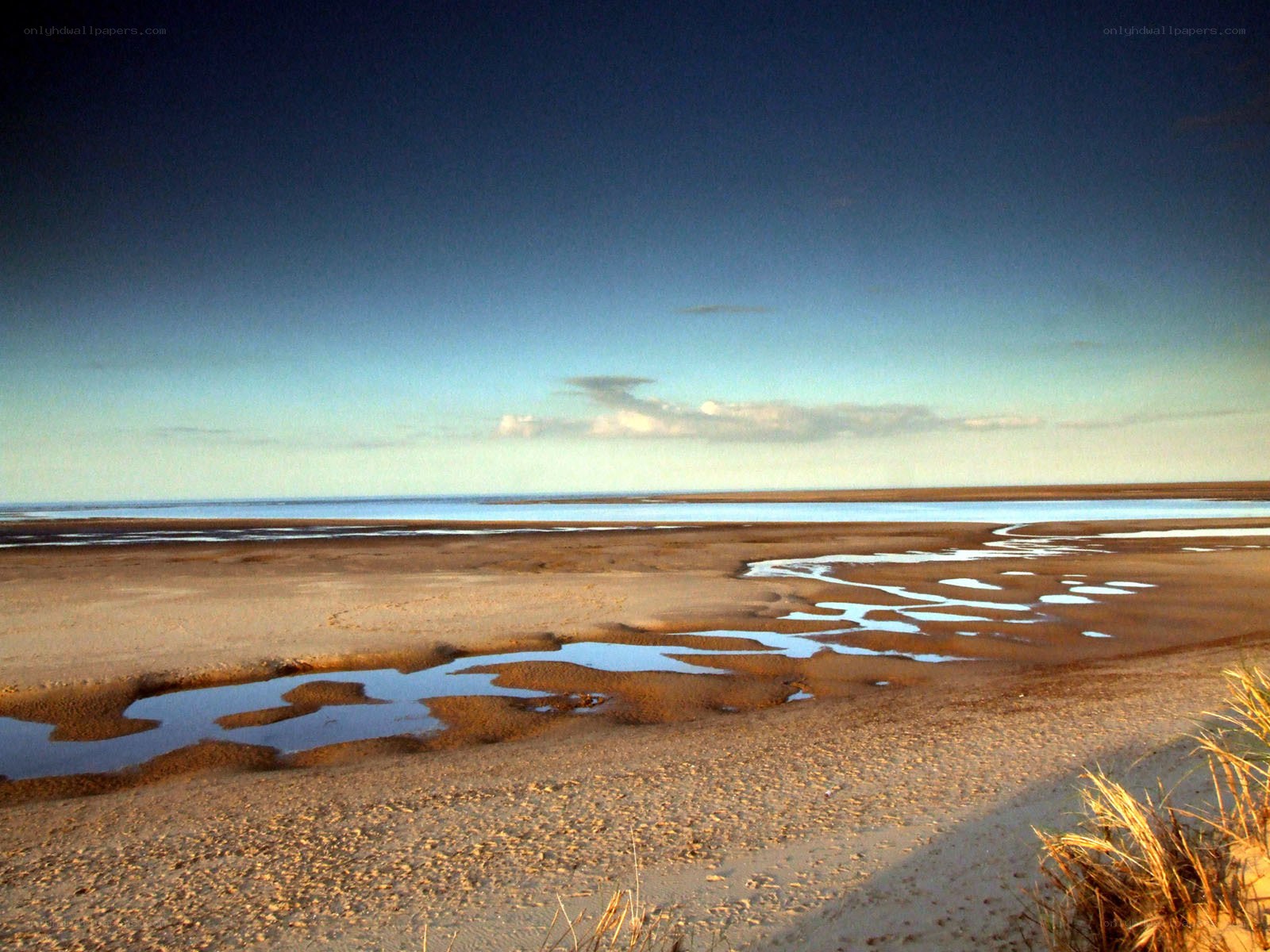 beach at low tide