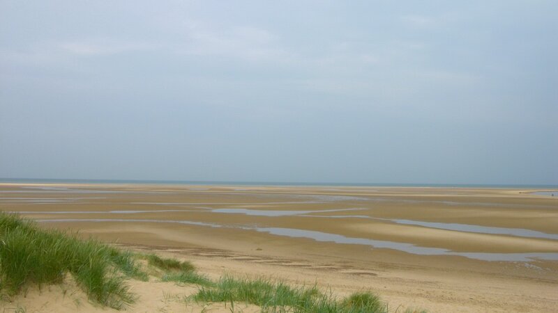 Beach at Low Tide — Brown