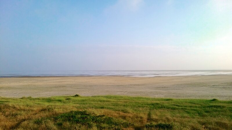 Beach at Low Tide — Green