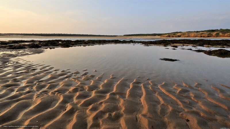 beach at low tide