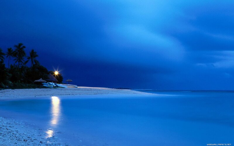Beach at Night — Blue, Serene, Photograph, Palm Trees
