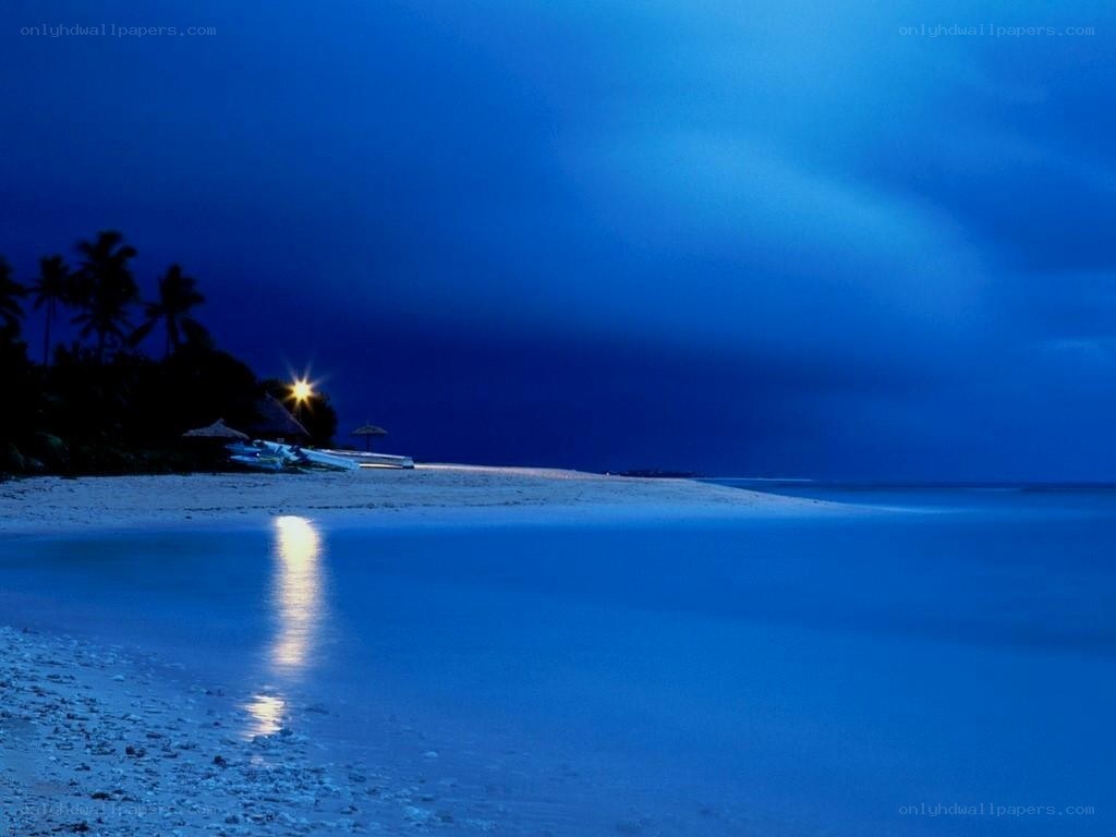 Beach at night with moonlight