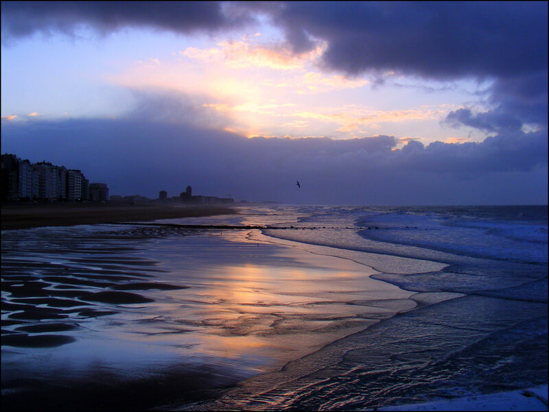 Beach at Sunset — Blue, Dramatic, Photograph, City Skyline, Seagull