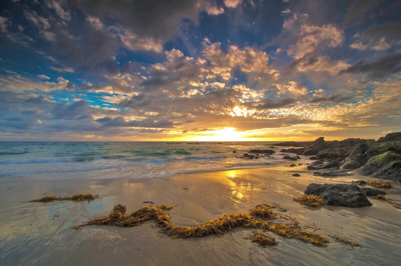 Beach at Sunset — Blue, Dramatic, Photograph, Ocean, Rocks, Seaweed