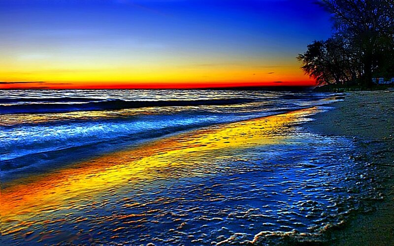 Beach at Sunset — Blue, Dramatic, Photograph, Ocean, Sky, Trees