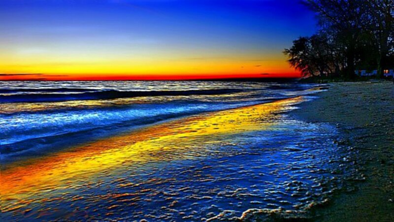 Beach at Sunset — Blue, Dramatic, Photograph, Ocean, Trees, Sky
