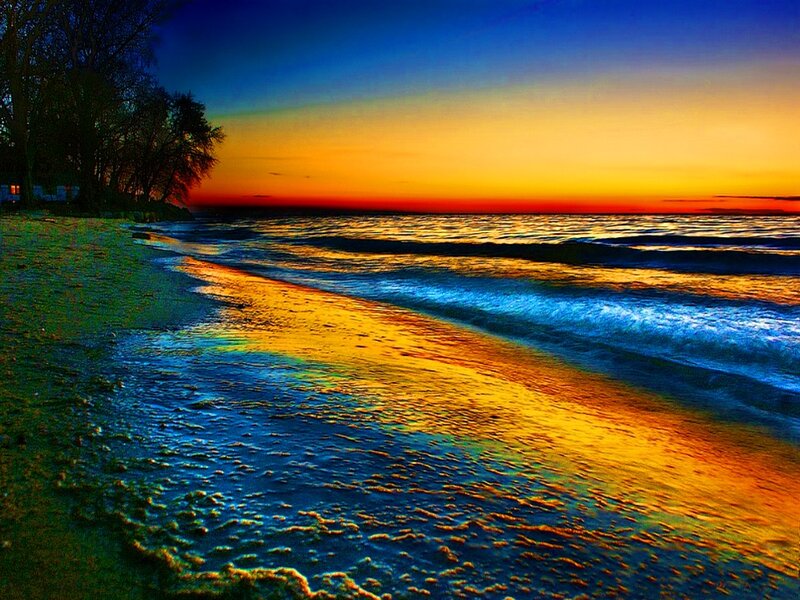 Beach at Sunset — Blue, Dramatic, Photograph, Ocean, Trees