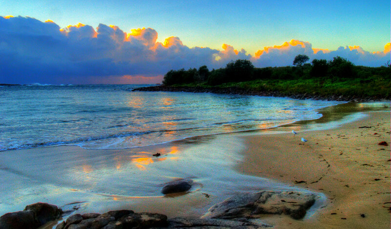 Beach at Sunset — Blue, Serene, Photograph, Clouds, Birds