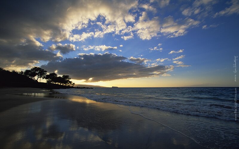 Beach at Sunset — Blue, Serene, Photograph, Ocean, Clouds, Trees, Yellow