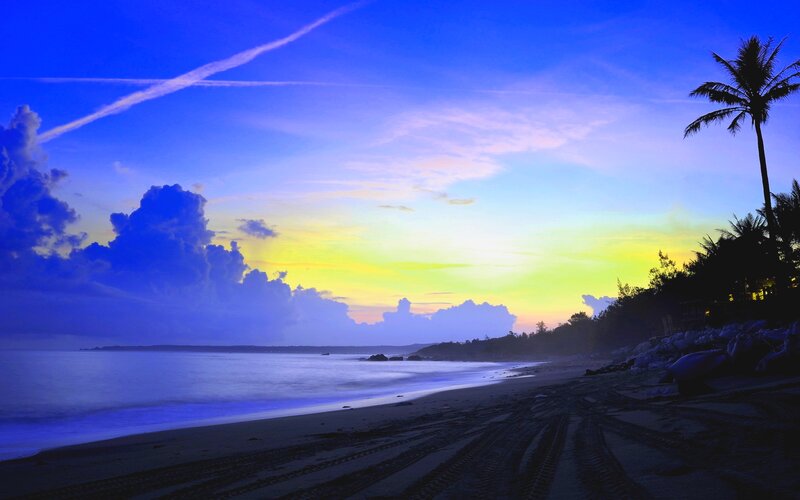 Beach at Sunset — Blue, Serene, Photograph, Palm Tree