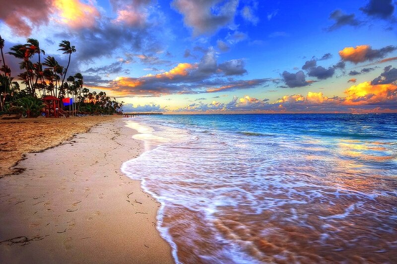 Beach at Sunset — Blue, Serene, Photograph, Palm Trees, Ocean Waves