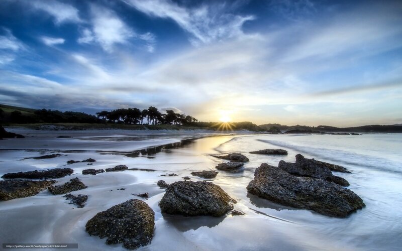 Beach at Sunset — Blue, Serene, Photograph, Rocks, Trees
