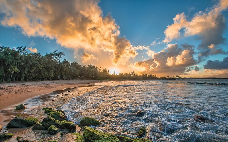 Beach at Sunset — Blue, Serene, Photograph, Trees