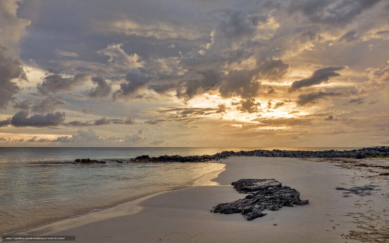 Beach at Sunset — Gold, Dramatic, Photograph, Ocean, Rocks