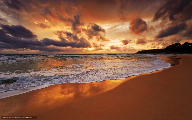 Beach at Sunset — Orange, Dramatic, Photograph, Ocean, Clouds, Trees