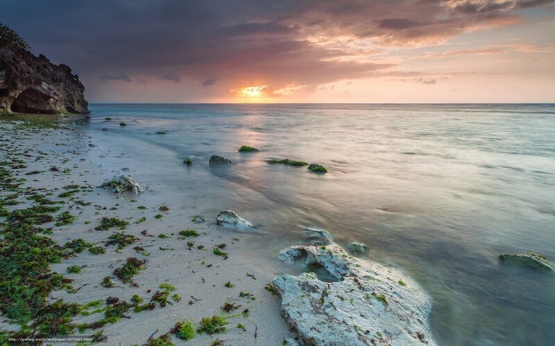 Beach at Sunset — Orange, Serene, Photograph, Rocks, Seaweed