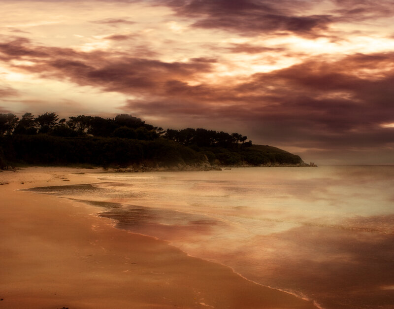 Beach at Sunset — Orange, Serene, Photograph, Sky, Trees