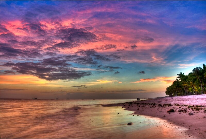 Beach at Sunset — Pink, Dramatic, Photograph, Palm Trees