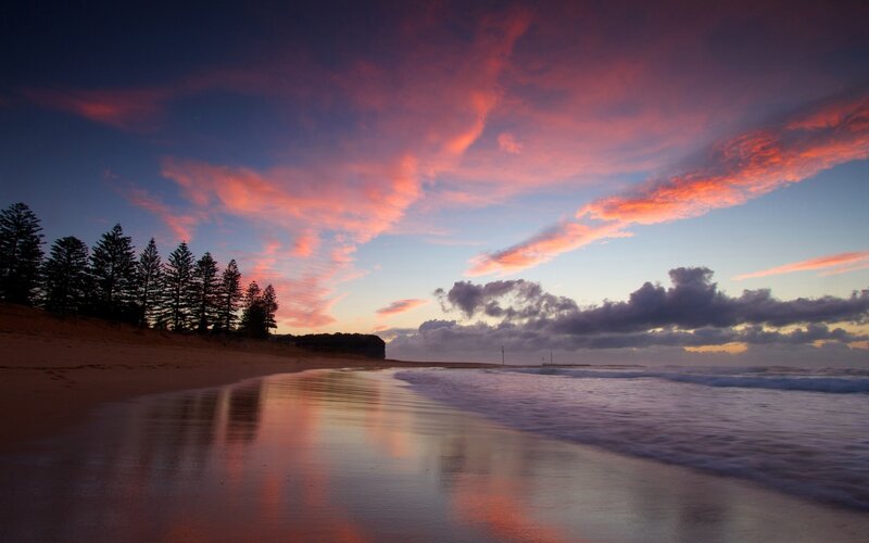 Beach at Sunset — Pink, Dramatic, Photograph, Trees