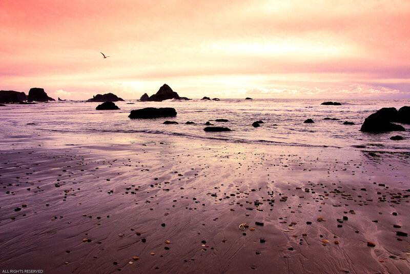 Beach at Sunset — Pink, Serene, Photograph, Rocks, Bird, Ocean