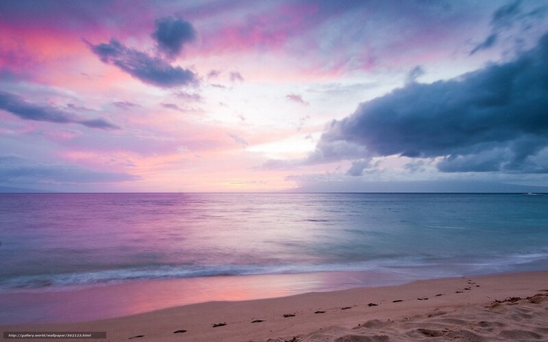 Beach at Sunset — Pink, Serene, Photograph, Sky, Ocean