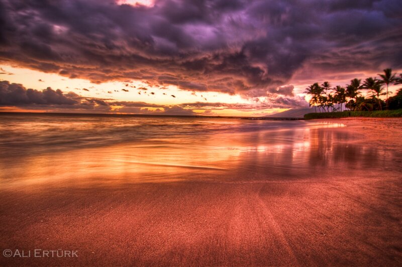 Beach at Sunset — Purple, Dramatic, Photograph, Clouds, Palm Trees